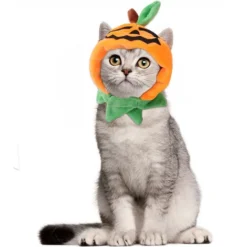 Produits Pour Animaux De Compagnie D'Halloween Couvre-Chef Pour Chat Chapeau De Citrouille D'Halloween Pour Chien