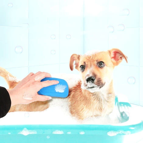 Pour Toilettage Chien, Chat, Animal Domestique, Peignes De Bain Pour Chien Et Chat(bleu) – Image 4