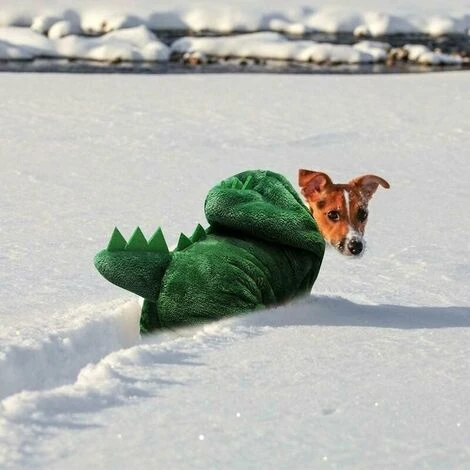 Vêtements Pour Chien, Chiot Chien Vetements De Compagnie Sweat Chemise Chaude, Dinosaure Vetements Hiver Chaud Pour Animal Domestique Polaire De Corail Manteau Pour Chien(M)83g,vert – Image 5