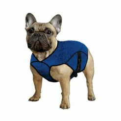 Gilet Bleu Rafraîchissant Aqua Coolkeeper Pour Chien M