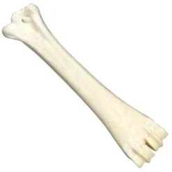 Os Au Calcium