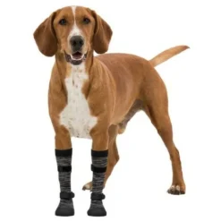 Bottines Walker Socks Désignation : Bottines Walker Socks Taille : XS - S Type De Race : Bottines Walker Socks Walker Activ 19441