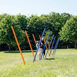Piquets De Slalom Pour Parcours D'agilité 115 Cm 12 Pcs Plastique TRIXIE