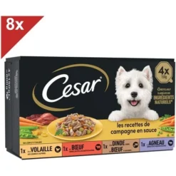CESAR 32 Barquettes En Sauce 4 Variétés Pour Chien 150g (8x4)