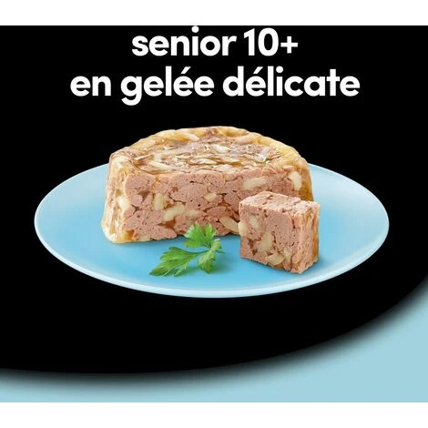 CESAR 24 Barquettes En Gelée 4 Variétés Pour Chien Senior 150g (6x4) – Image 5