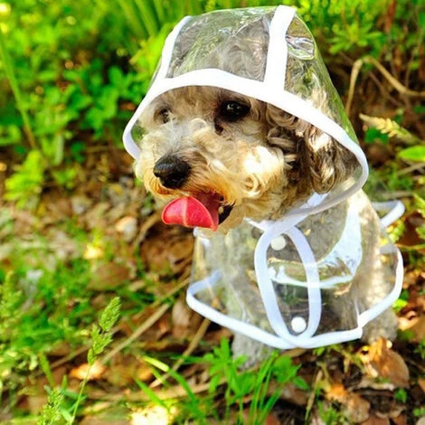 Imperméable Pour Chien Avec Capuche Poncho Manteau De Pluie Transparent Pour Petits Chiens Imperméable Chiot Chats Animaux De Compagnie, M, Côté Noir – Image 4