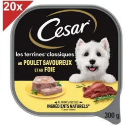 CESAR Barquette Poulet En Terrine Pour Chien (20x300g)