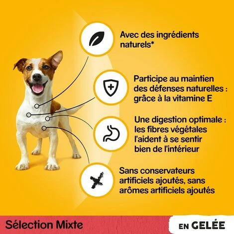 PEDIGREE 48 Sachets Fraîcheur En Gelée 4 Variétés Pour Chien 100g (4x12) – Image 2