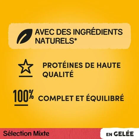 PEDIGREE 48 Sachets Fraîcheur En Gelée 4 Variétés Pour Chien 100g (4x12) – Image 5