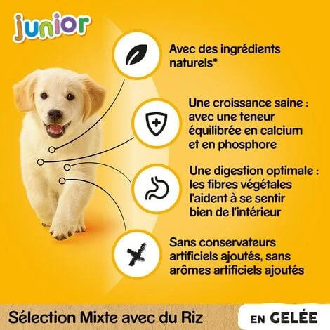 PEDIGREE Junior 48 Sachets Fraîcheur En Gelée 4 Variétés Pour Chiot 100g (4x12) – Image 2
