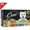 CESAR 24 Barquettes En Terrine 4 Variétés Pour Chien 150g (6x4)