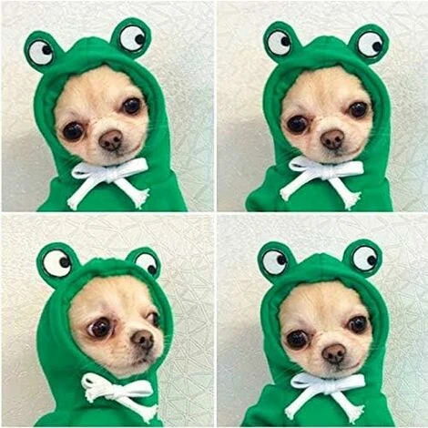 Sweat à Capuche Pour Chien - Manteau Basique En Forme De Grenouille - Veste Chaude Pour Animal Domestique - Vêtement D'extérieur Pour Petits Chiens, Chats, Chiots, Petits Animaux (taille XXL) – Image 2