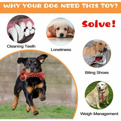 Jouet Pour Chien, Os Chien à Macher Brosse A Dent, Résistant à La Morsure Bâton De Nettoyage Des Dents En Caoutchouc Pour Moyens Et Grands Chiens, Saveur De Boeuf, Fontainebleau – Image 3