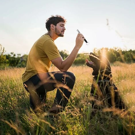 Sifflet Chien, 2 Sifflets à Ultrasons Professionnels, Silencieux à Haute Fréquence, Sifflet Chien Anti Aboiement à Longue Portée Fontainebleau Noir – Image 5