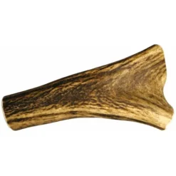 Bois De Cerf Entier Taille : XS