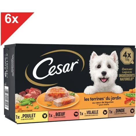 CESAR 24 Barquettes En Terrine Coeur De Légumes Pour Chien 150g (6x4)
