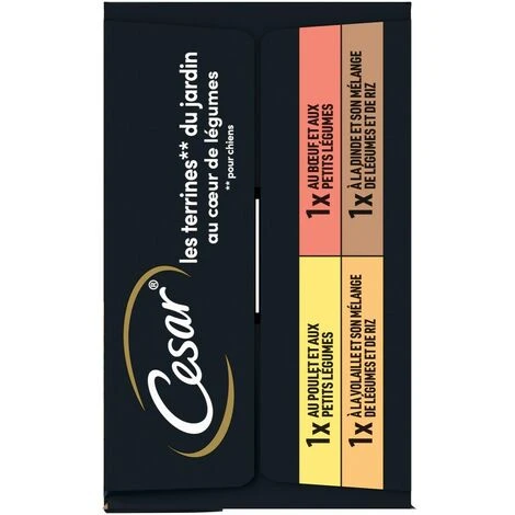 CESAR 24 Barquettes En Terrine Coeur De Légumes Pour Chien 150g (6x4) – Image 2