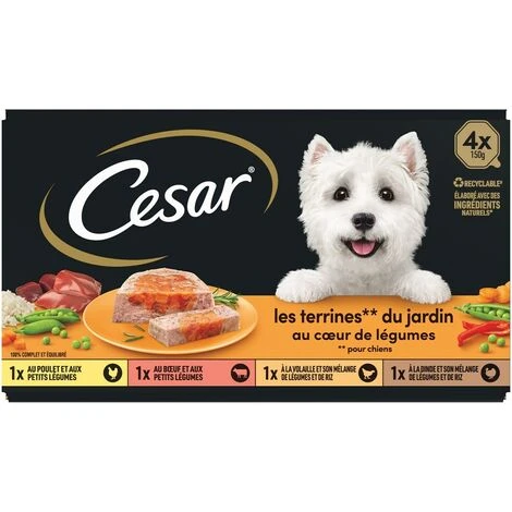 CESAR 24 Barquettes En Terrine Coeur De Légumes Pour Chien 150g (6x4) – Image 5