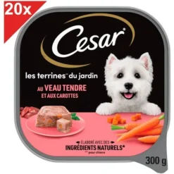 CESAR Barquettes Au Veau Tendre Et Aux Carottes En Terrine Pour Chien 20x300g