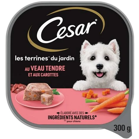 CESAR Barquettes Au Veau Tendre Et Aux Carottes En Terrine Pour Chien 20x300g – Image 5