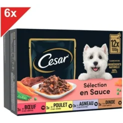 CESAR 72 Sachets Fraîcheur En Sauce 4 Variétés Pour Chien 100g (6x12)