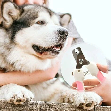 Coupe-ongles Pour Chien Tondeuse à Griffes De Chat Coupe-ongles Pour Animaux De Compagnie Lame De Rasoir Outil De Toilettage Avec Lime à Ongles Pour Lapin Oiseau Cochons Furet – Image 3