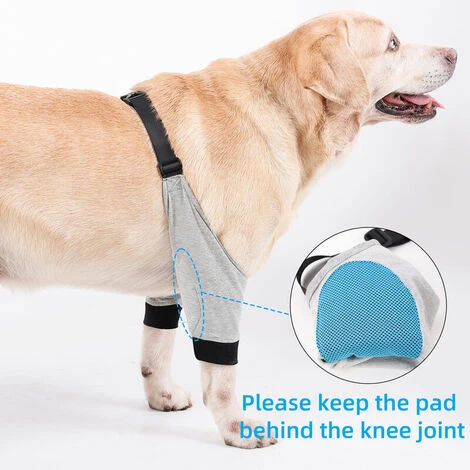 Protège-coudes Pour Chien Manches Avant Pour Jambe Réglable Chirurgie Des Animaux De Compagnie Récupération Des Blessures Bandage De Protection 1 Paire, Petit, Gris – Image 5