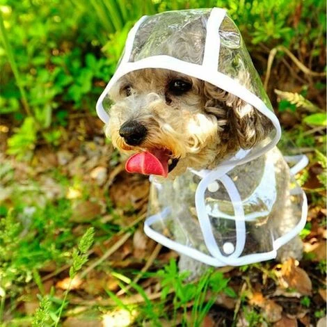Manteau Imperméable Pour Chiens De Petite Taille Et Chats, Avec Capuche, Réglable, En PVC, Transparent, Et Ultra-léger, – Image 2