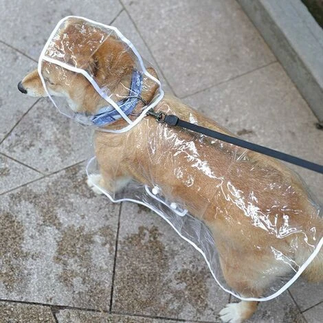 Manteau Imperméable Pour Chiens De Petite Taille Et Chats, Avec Capuche, Réglable, En PVC, Transparent, Et Ultra-léger, – Image 4