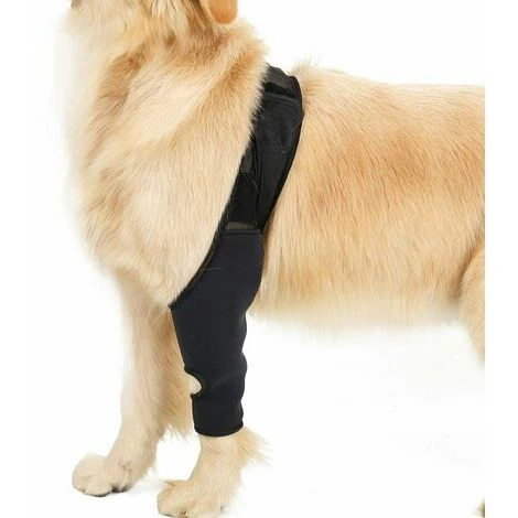 Attelle De Soutien De Jambe Avant Arriere Pour Chien De Recuperation D'entorse Soulage La Douleur, XS - GHOST – Image 2