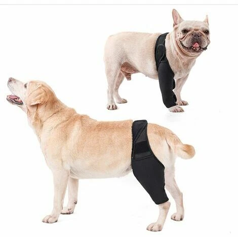 Attelle De Soutien De Jambe Avant Arriere Pour Chien De Recuperation D'entorse Soulage La Douleur, XS - GHOST – Image 3