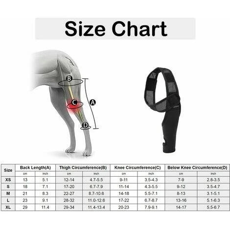 Attelle De Soutien De Jambe Avant Arriere Pour Chien De Recuperation D'entorse Soulage La Douleur, XS - GHOST – Image 5