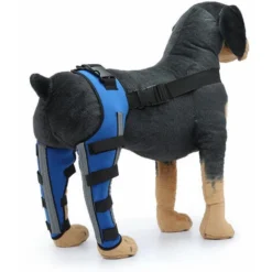 OAAO Double Protection De La Jambe ArriÚre Chien GenouillÚre Pour Acl GenouillÚre Luxation Arthrite Garde L'articulation Au Chaud Soutien Supplémentaire Bleu (XS)