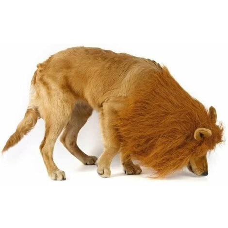 AQIUO Chien Crinière De Lion Costume Pour Moyen à Grand Chien Et Chat Réglable Réaliste Drôle Animal De Compagnie Lion Crinière Perruque Avec Oreilles Vêtements Pour Halloween Cosplay Fête Vacances (L – Image 3