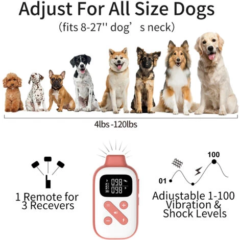 Collier De Choc De Dressage Pour Chien Avec Telecommande 1000 M Etanches Rechargeables Avec 3 Modes De Dressage, Verrouillage De Securite Pour Toutes Les Races, Tailles – Image 3