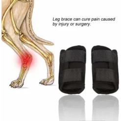 1 Paire De Bandages Chirurgicaux Pour Pattes Avant De Chien (S)