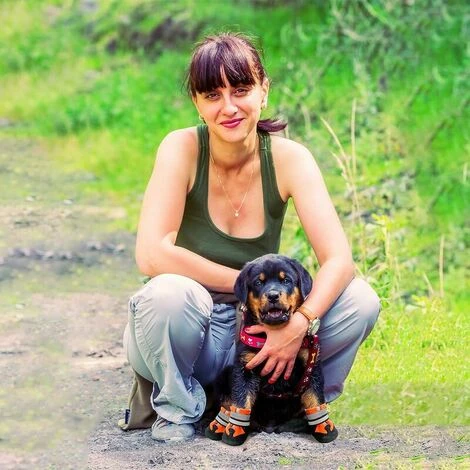 Bottes Chien, 4 Pièces Chaussures Pour Chien Imperméables Avec Sangles Réfléchissantes, Antidérapante Protecteurs De Pattes Chaussures Pour Chiens De Taille Petit Moyenne Grande (XL, Orange) – Image 5