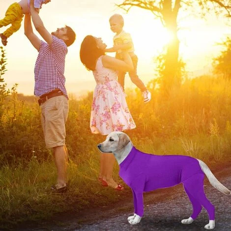 SEENLIN Chirurgie Pour Chien Vetements A Manches Longues Costume Pour Chien Costume De Recuperation, Mauve M - Mauve M – Image 3