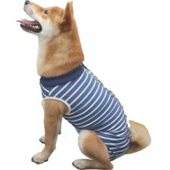 Body Chien Post Operatoire Femelle Combinaison Chien Sterilisation Body Pour Chien Castration Male Body Medical Déguisements Pour Chiens Alternatives Aux Collerettes Pour Chiens