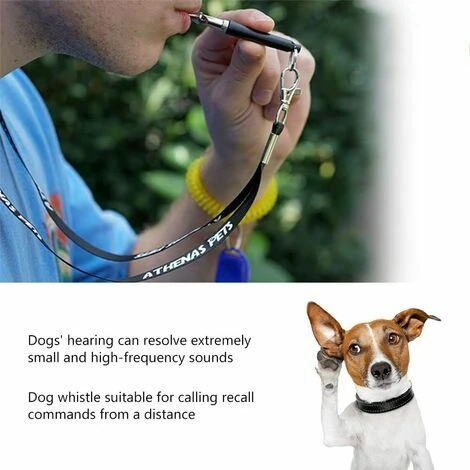 2 Pièce Sifflet Pour Chien Anti-aboiement Par Simply Natural – Sifflet Ultrason Pour Chien Et Cœur En Cuivre Pour Entraînement – Image 4
