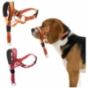 Collier De Tête Pour Chien, Licou Sans Traction Avec Rembourrage Doux, Outil D'Entraînement Durable Et Réfléchissant Pour Chiens De Taille Moyenne, Labrador, Arrête Les Tractions Lourdes Et Contrôle F
