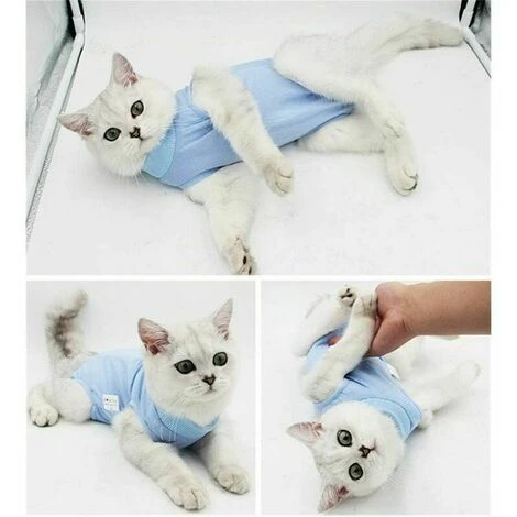 Vêtements De Récupération Chirurgicale Pour Chat Gilet De Blessure Médicale Protection Anti-fuite Pour Chien Chat Petit Animal M – Image 5