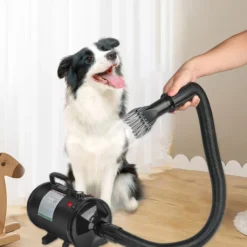 Sèche-poils Toilettage Pour Chiens Séchoir Professionnel Pour Chiens Sèche-cheveux Pour Chiens Chats Animaux - Noir