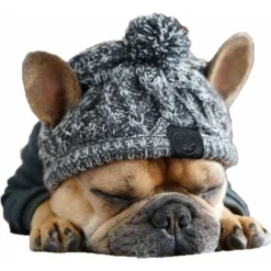 Tricoté Chaud Pour Chien Bonnet Snood Mignon Pour Animal De Compagnie Accessoire De Déguisement Costume Chapeau Pour Automne Et Hiver Fête Photographie(Gris,S)