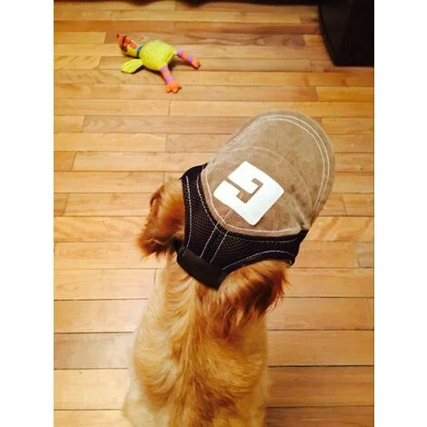 Bleu, L-Casquette Tendance Pour Chien, Protection Du Soleil En été, Pour Chiens Petits, Moyens Et Grands – Image 4