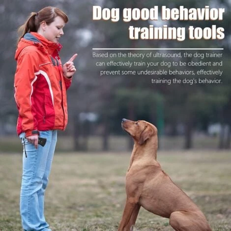Dog Repeller Trainer Répulsif Pour Chien à Double Canal Outil De Dressage De Chien Portable à Ultrasons Pour éviter Les Aboiements De Chien Pour Le Dressage Et La Marche Des Chiens – Image 5