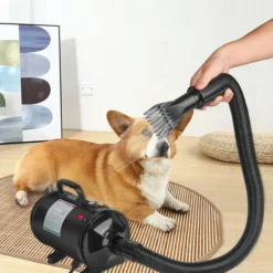 GUOYIHUA® Sèche-Cheveux Pour Chien Sèche-Cheveux Pour Animaux De Compagnie Sèche-Cheveux 2800W / 3,8HP, Sèche-Cheveux Pour Chien De Compagnie, Avec 4 Buses Différentes, Noir