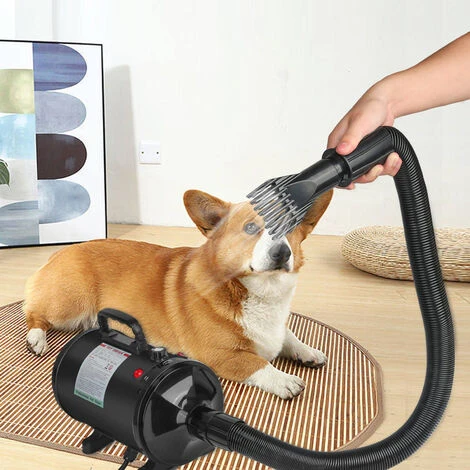 GUOYIHUA® Sèche-Cheveux Pour Chien Sèche-Cheveux Pour Animaux De Compagnie Sèche-Cheveux 2800W / 3,8HP, Sèche-Cheveux Pour Chien De Compagnie, Avec 4 Buses Différentes, Noir