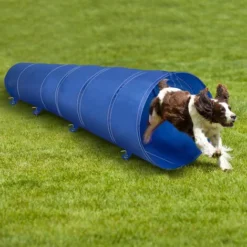 Jeu Tunnel Dressage Chiens Chats Animaux Cannophile 3 Mètres Jeux Agilité
