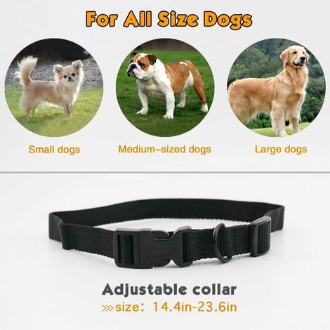 Collier De Dressage De Chien à Distance étanche Et Rechargeable Pour Chien Avec Bip Vibrant Collier De Dressage Obéissance De Chien électrique Pour Chiens De Toutes Tailles – Image 5